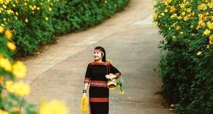 Giữa đại ngàn, Dã quỳ Chư Đang Ya nở rộ gọi mùa về