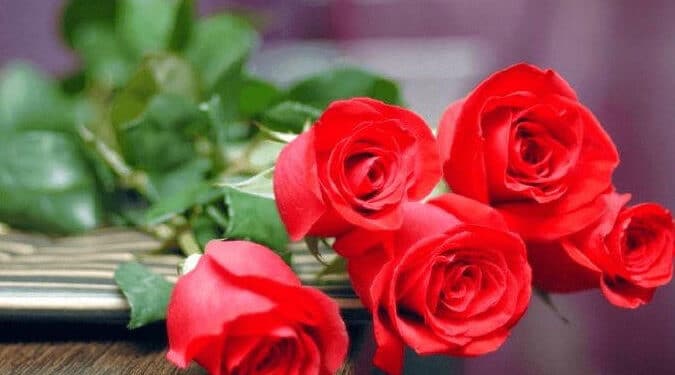 Lời chúc 20/10 ý nghĩa nhất dành tặng phái đẹp