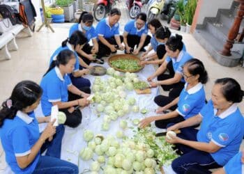 Nhang sinh học – Sản phẩm xanh vì sức khỏe cộng đồng và môi trường bền vững