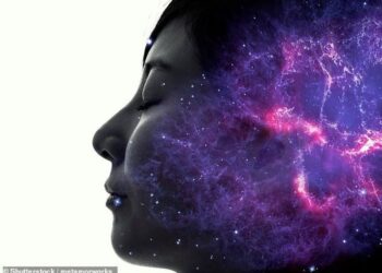 Các nhà khoa học tìm ra ‘giác quan thứ sáu’ giúp não bộtheo dõi cơ thể từ bên trong