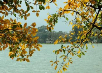 Độ trong của gió – khúc giao mùa Hà Nội