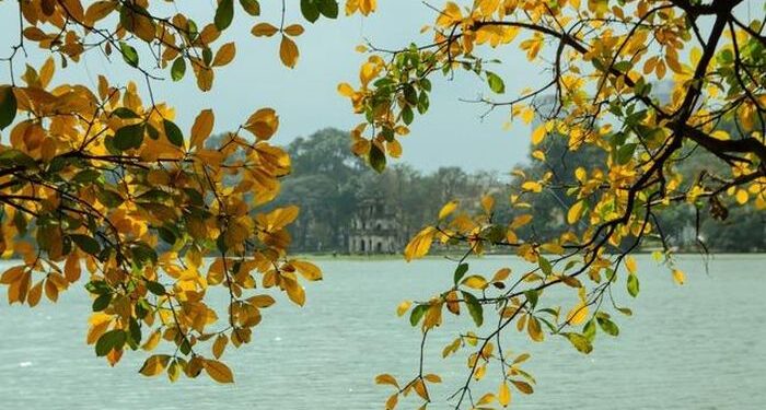 Độ trong của gió – khúc giao mùa Hà Nội