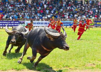 Bản sắc truyền thống là yếu tố hàng đầu