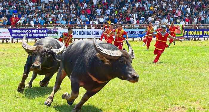 Bản sắc truyền thống là yếu tố hàng đầu