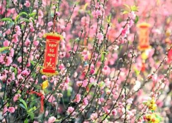 Chính thức: Lịch nghỉ Tết Nguyên đán và Quốc khánh năm 2026