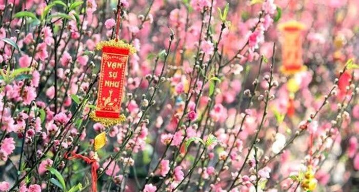 Chính thức: Lịch nghỉ Tết Nguyên đán và Quốc khánh năm 2026