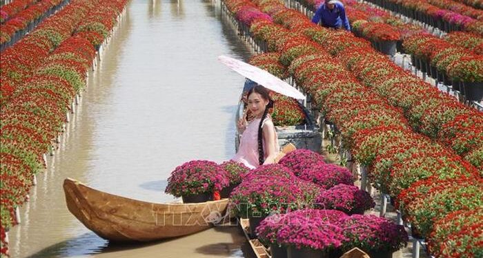 Đất sen hồng kích cầu du lịch, thu hút khách dịp cao điểm