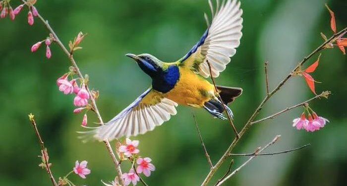 Đẹp vô cùng thiên nhiên hoang dã Việt Nam