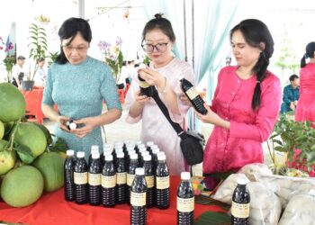 Hội Nông dân phường Phú Tân (tỉnh Vĩnh Long) “Đoàn kết – Đổi mới – Hợp tác – Phát triển” – Hướng tới nông thôn hiện đại và nông dân văn minh