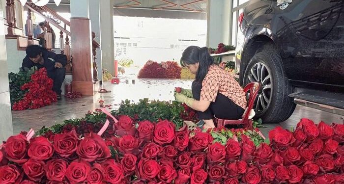 Từ vùng lúa bắp, người K’ho gây dựng ‘thủ phủ hoa hồng’ Tây Nguyên